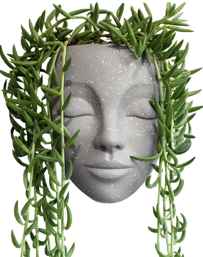 Tranquila Beige Wall Face Planter