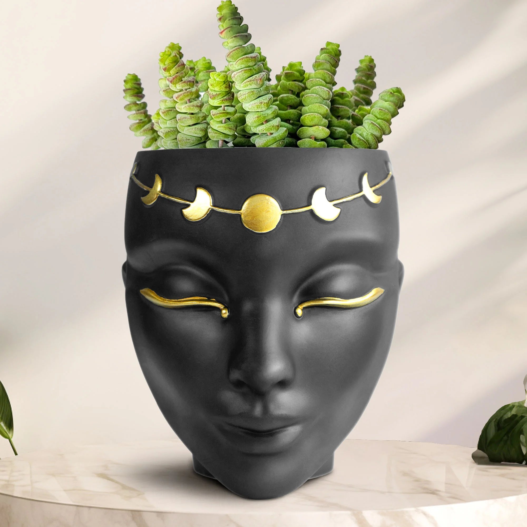 wall hanging face planter Tabletop & Wall Face Planter