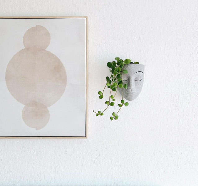 Revamp Your Walls with Head Planters to Transform Your Home
