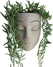 Load image into Gallery viewer, Beige Wall Face Planter - Tranquilo Design
