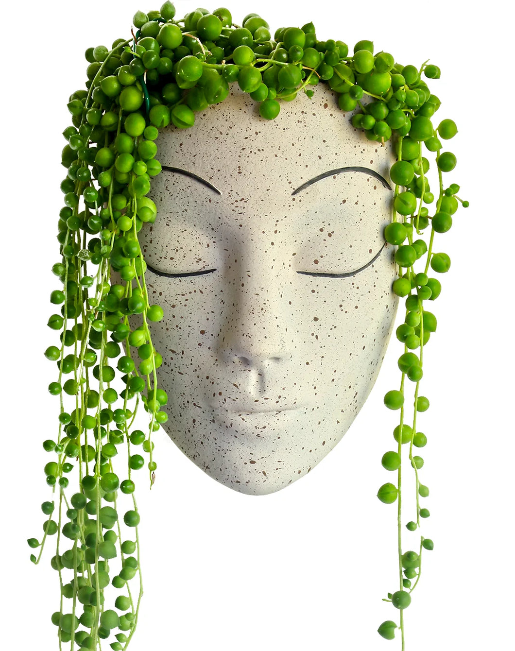 Vanilla Wall Face Planter - Tranquilo Design