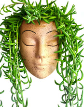 Load image into Gallery viewer, Bisque Wall Face Planter - Tranquilo Design
