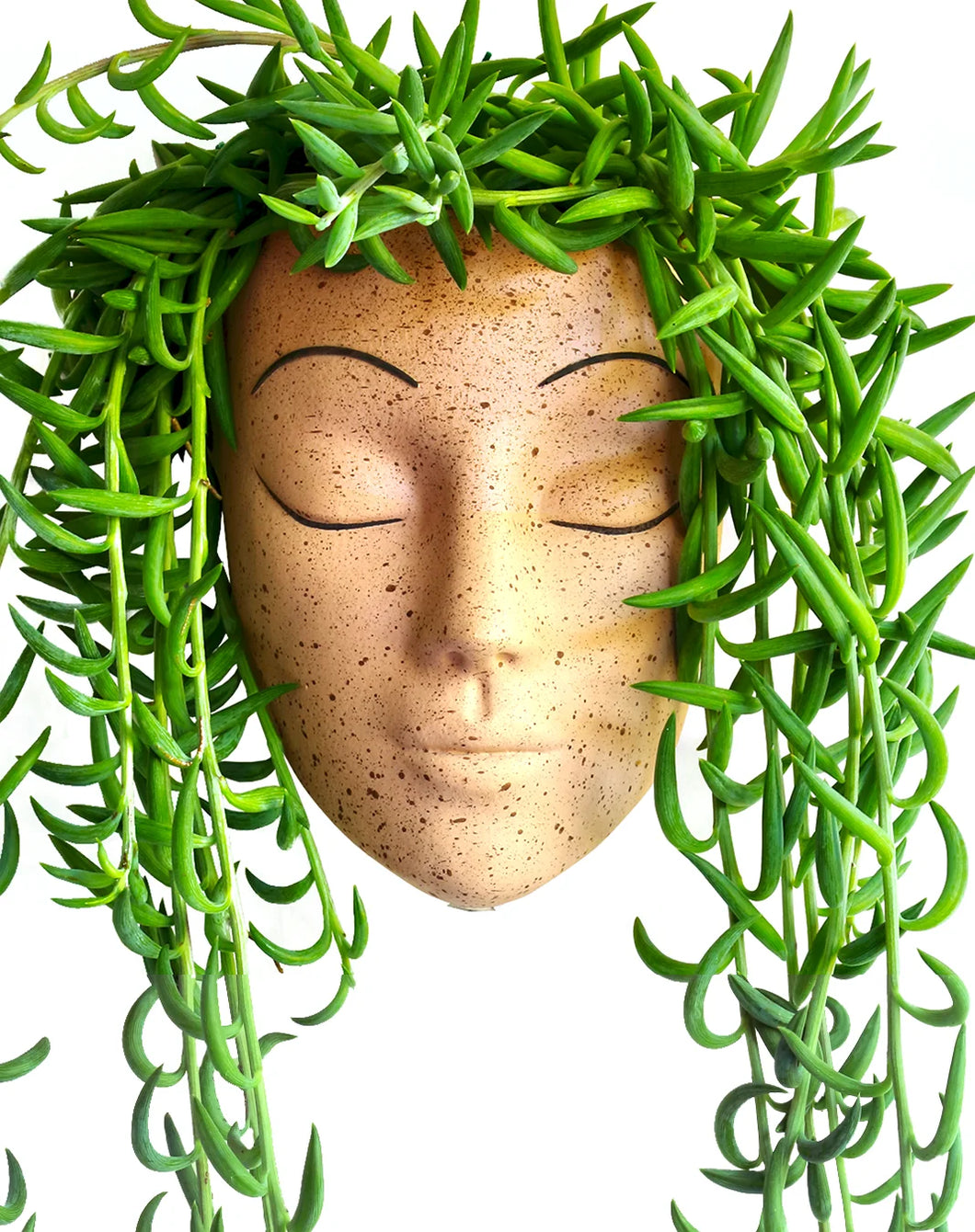 Bisque Wall Face Planter - Tranquilo Design