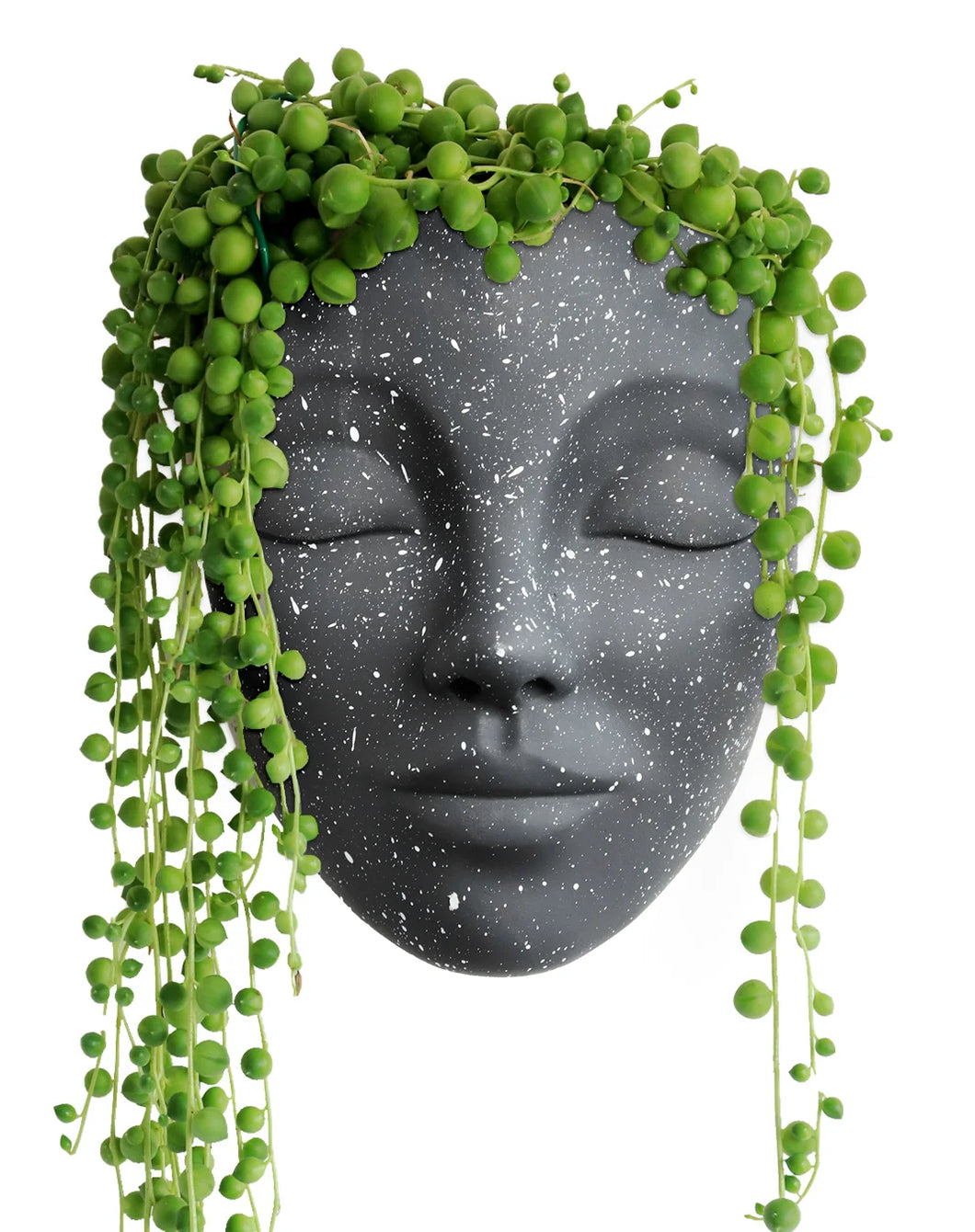Tranquila Black Wall Face Planter