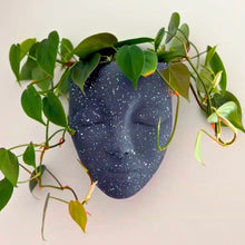 Load image into Gallery viewer, black wall face planter
