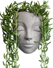 Load image into Gallery viewer, Tranquila Beige Wall Face Planter
