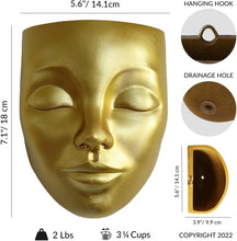 Load image into Gallery viewer, Tranquila Gold Wall Face Planter Dimensions
