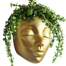 Load image into Gallery viewer, Gold Wall Face Planter - Tranquila Design
