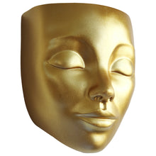 Load image into Gallery viewer, Gold Wall Face Planter - Tranquila Design
