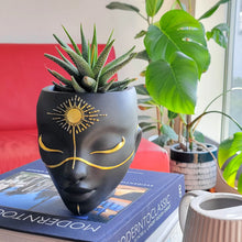 Load image into Gallery viewer, Tabletop &amp; Wall Planter - Sunsola Design
