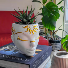 Load image into Gallery viewer, White Tabletop &amp; Wall Face Planter - Sunrisa Design
