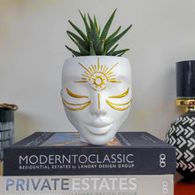 Load image into Gallery viewer, white tabletop face planter with gold accents
