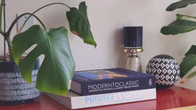 Load and play video in Gallery viewer, Tabletop &amp; Wall Face Planter - Luna Design
